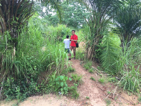 1513737405191792.jpg 3_副本.jpg